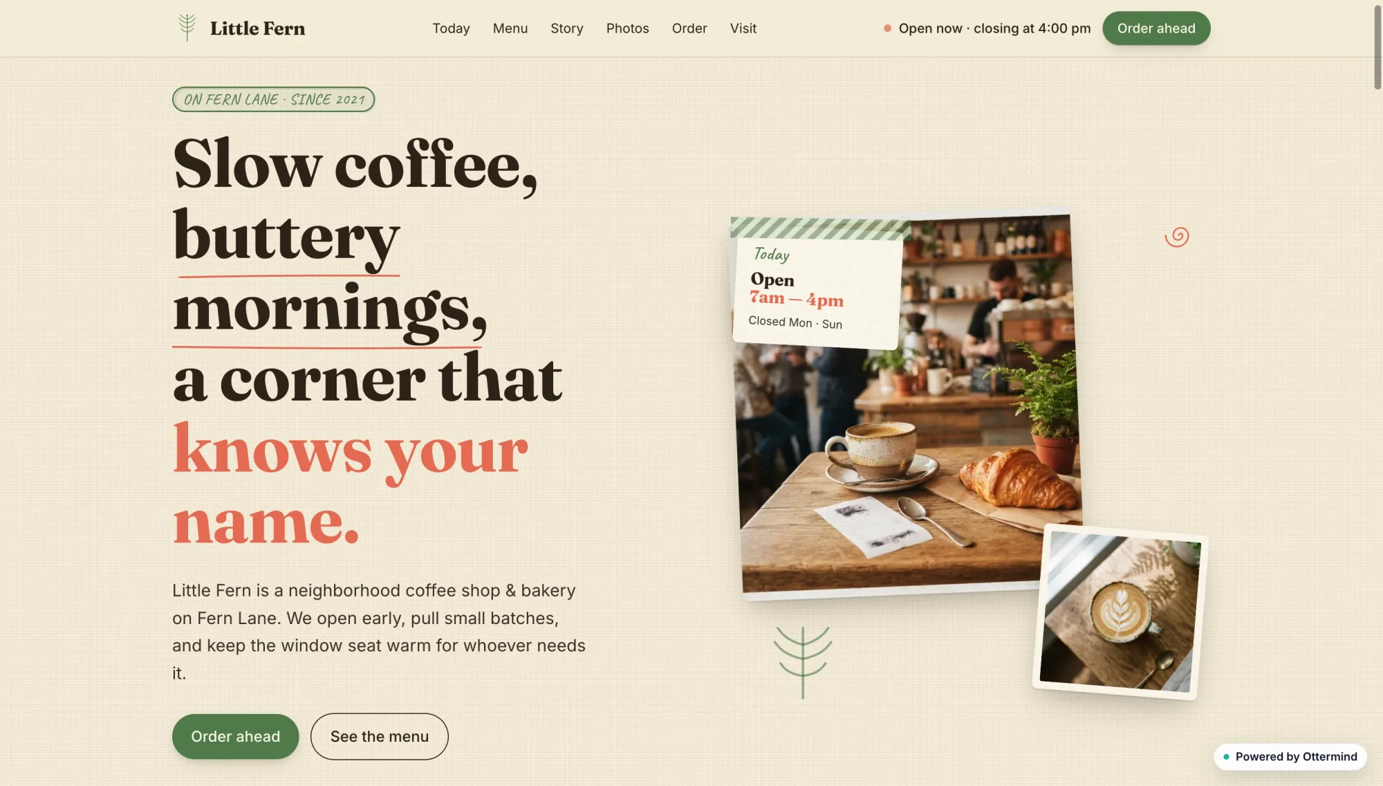 Little Fern neighborhood coffee shop website with warm cafe photographs and red editorial type