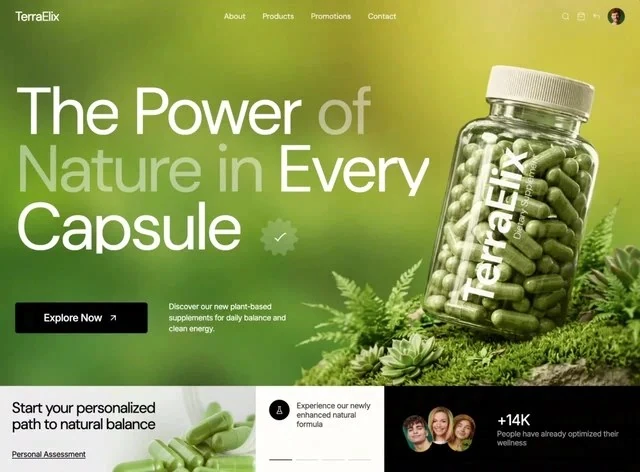 Wellness Balance Health Hero section design preview
