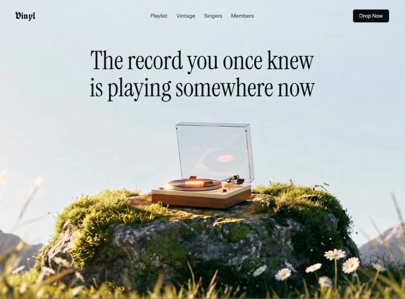 Vinyl — Lifestyle landingpage preview