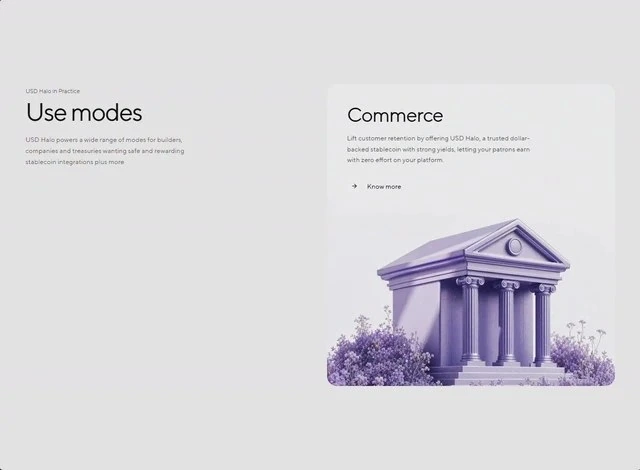 Halo Use Case Fintech Features section design preview