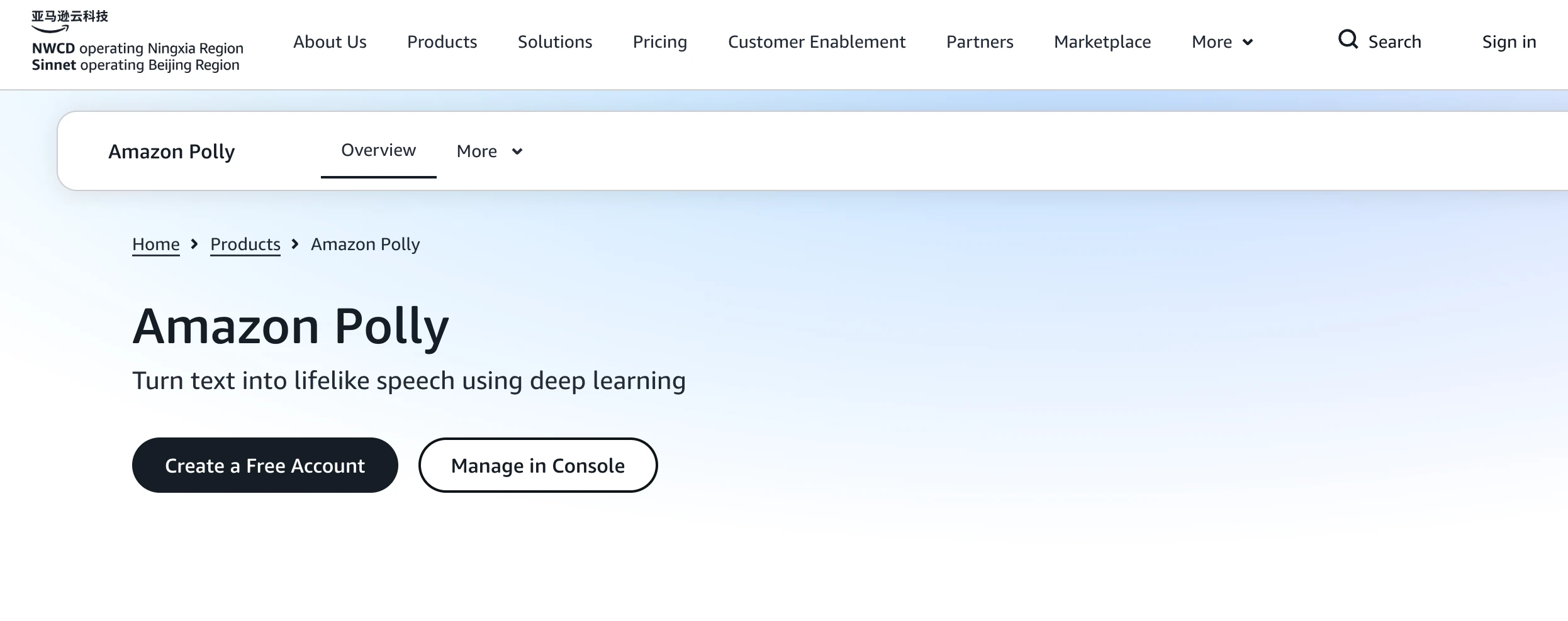 Amazon Polly voice workflow