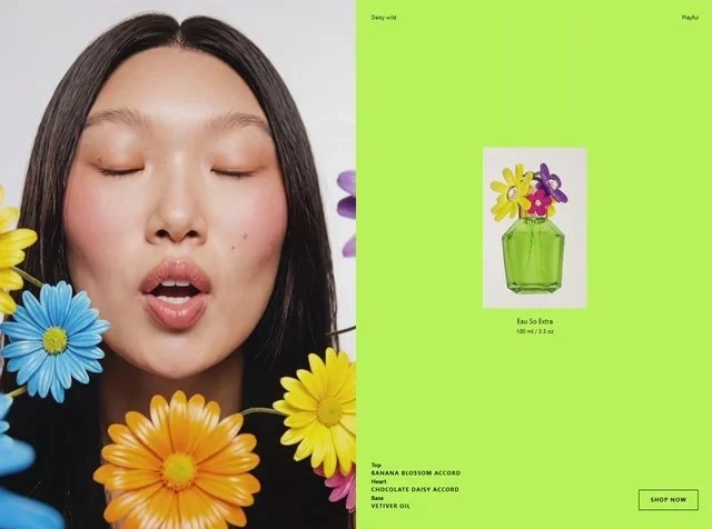 Daisy Wild Ecommerce Landing page design preview