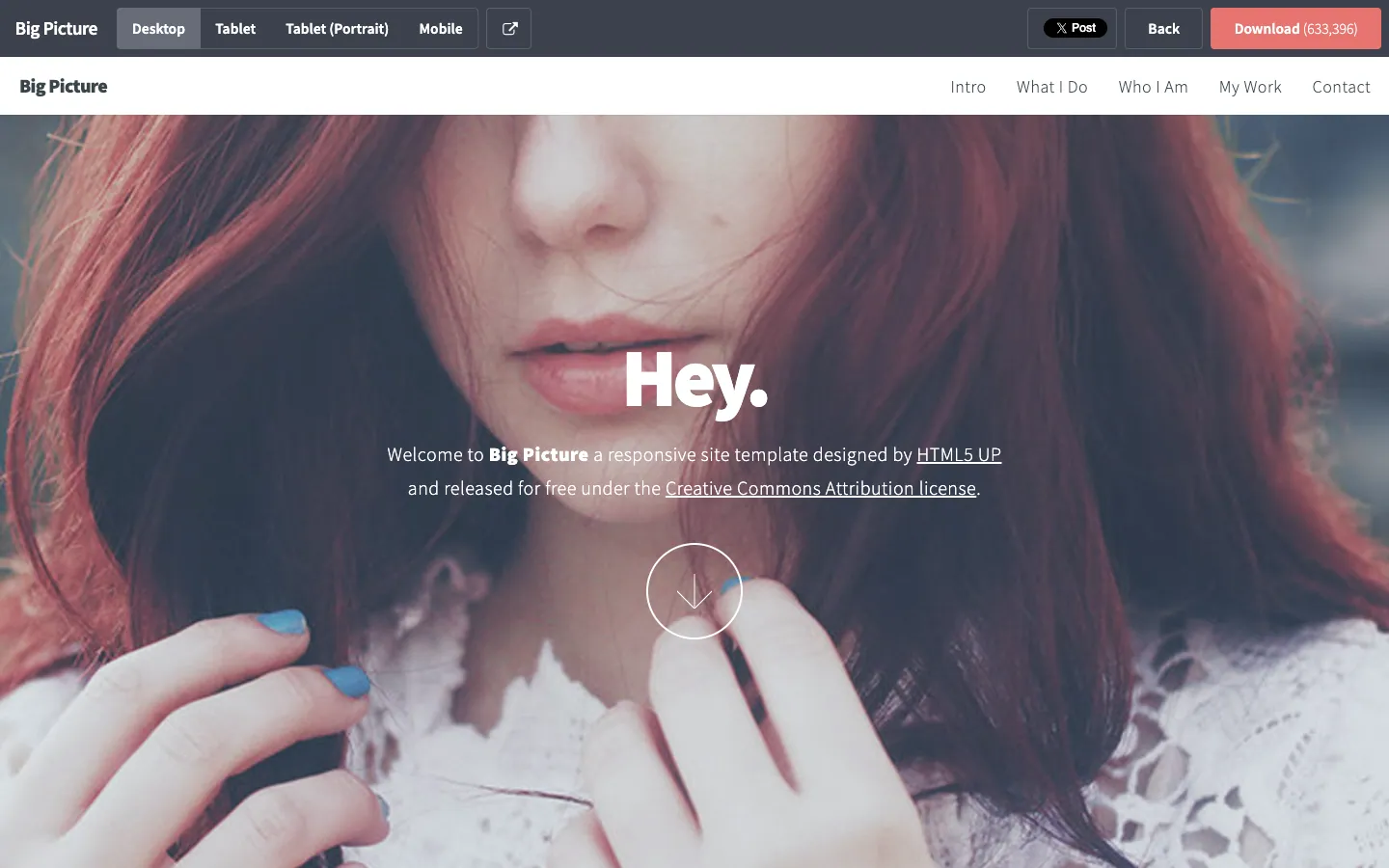 Big Picture website template, /big-picture page, part 1